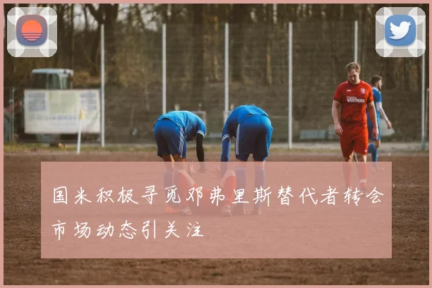 国米积极寻觅邓弗里斯替代者转会市场动态引关注