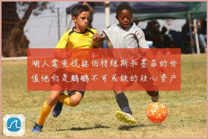 湖人需重视赫伯特琼斯和墨菲的价值他们是鹈鹕不可或缺的核心资产